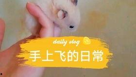 娱乐圈吃瓜背景板是谁,揭秘“吃瓜背景板”背后的故事